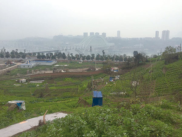 聚焦优德88官网网站拿地2.jpg